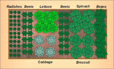 Fall Vegetable Garden Layout For A 4 X8 Raised Bed Growing The