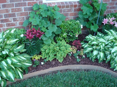 Another Tennessean's Shade Garden - Growing The Home Garden