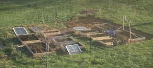 Fall Vegetable Garden Layout for a 4'x8' Raised Bed - Growing The Home