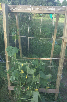 Homemade Cucumber or Melon Trellises - Growing The Home Garden