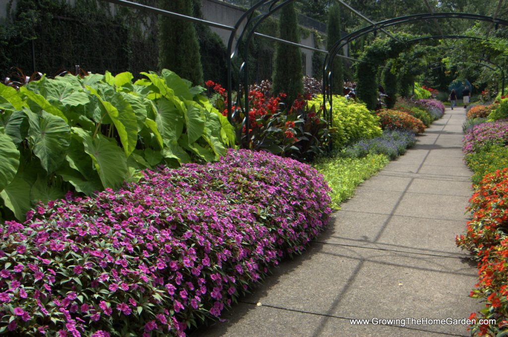 A Trip To Cheekwood Botanical Gardens In Nashville Tn Growing