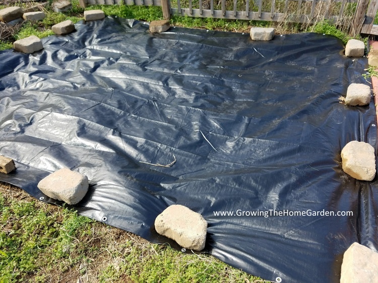 Black Gardening Tarp | Fasci Garden