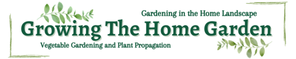 Crape Myrtle Propagation: Step by Step – Growing The Home Garden