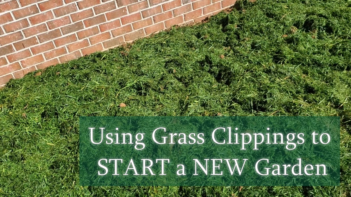 How To Use Grass Clippings To Start A New Garden - Growing The Home Garden