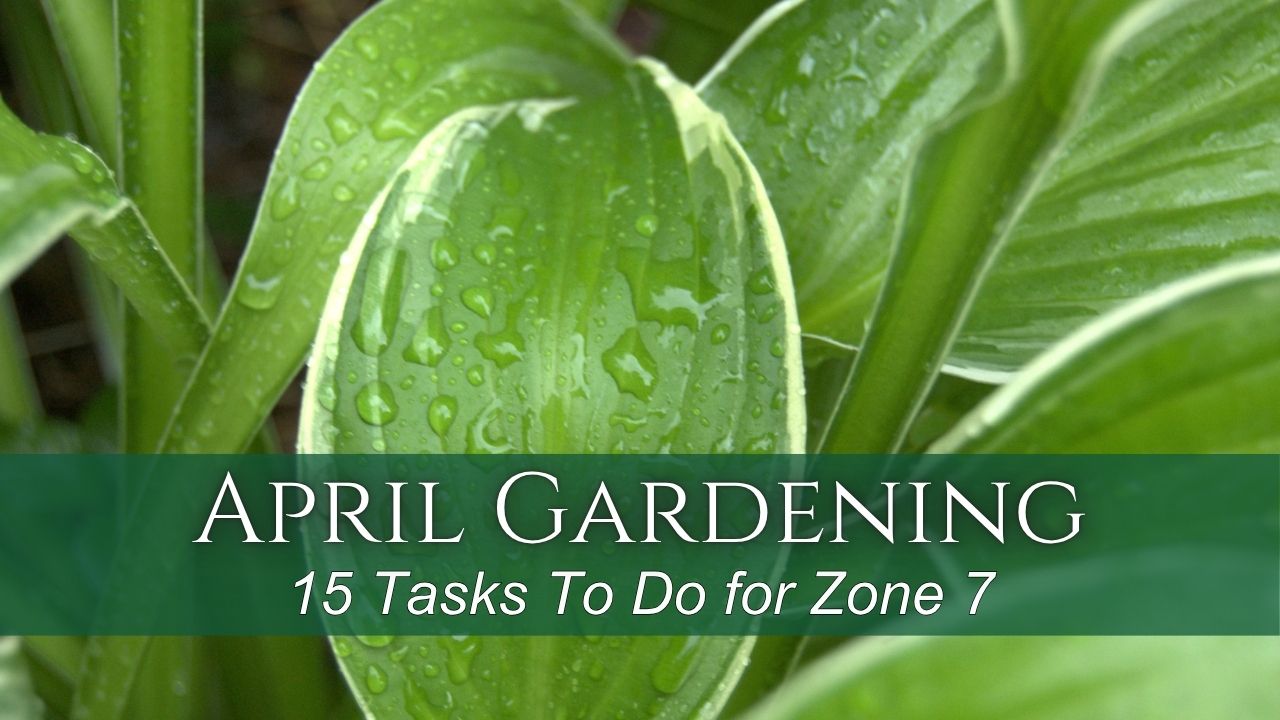15 Gardening Tasks for April! - Growing The Home Garden